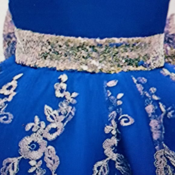 Infant pageant smash cake party tuti embroidered sequin removable bow lace dress - Picture 3 of 11